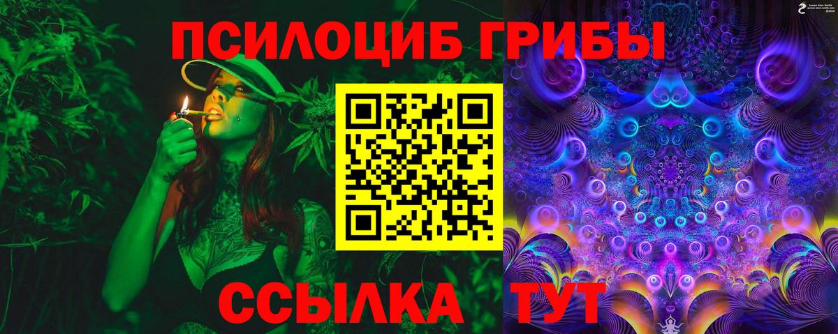 Ивантеевка  Псилоцибиновые грибы Cubensis  купить наркоту  Вход с VPN  Галлюциногенные грибы ЛСД 